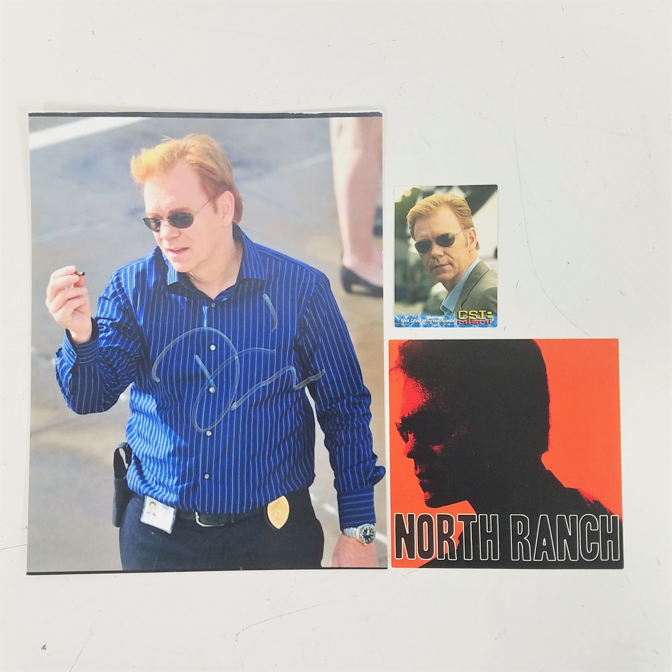 Buy the Signed David Caruso CSI Miami 8 x10 Photo Collectibles