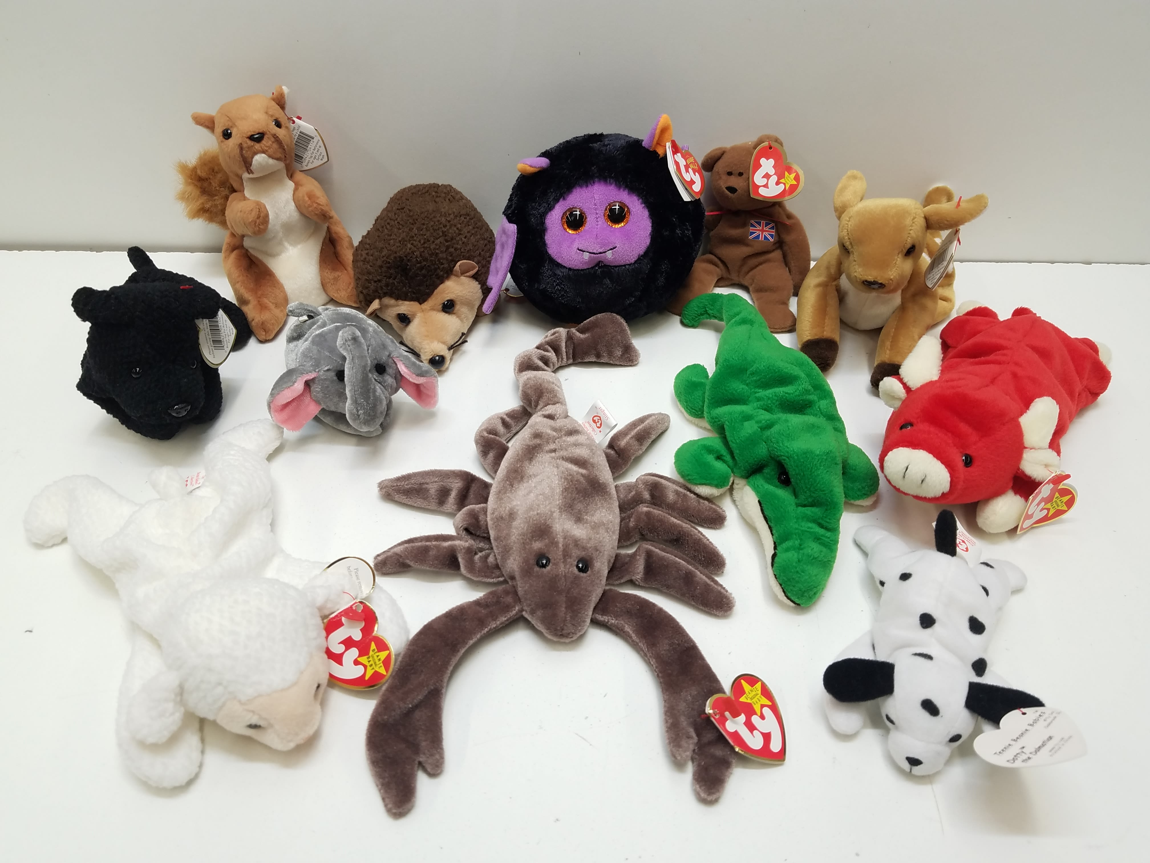 Buy the Lot of 12 Assorted TY Beanie Babies | GoodwillFinds