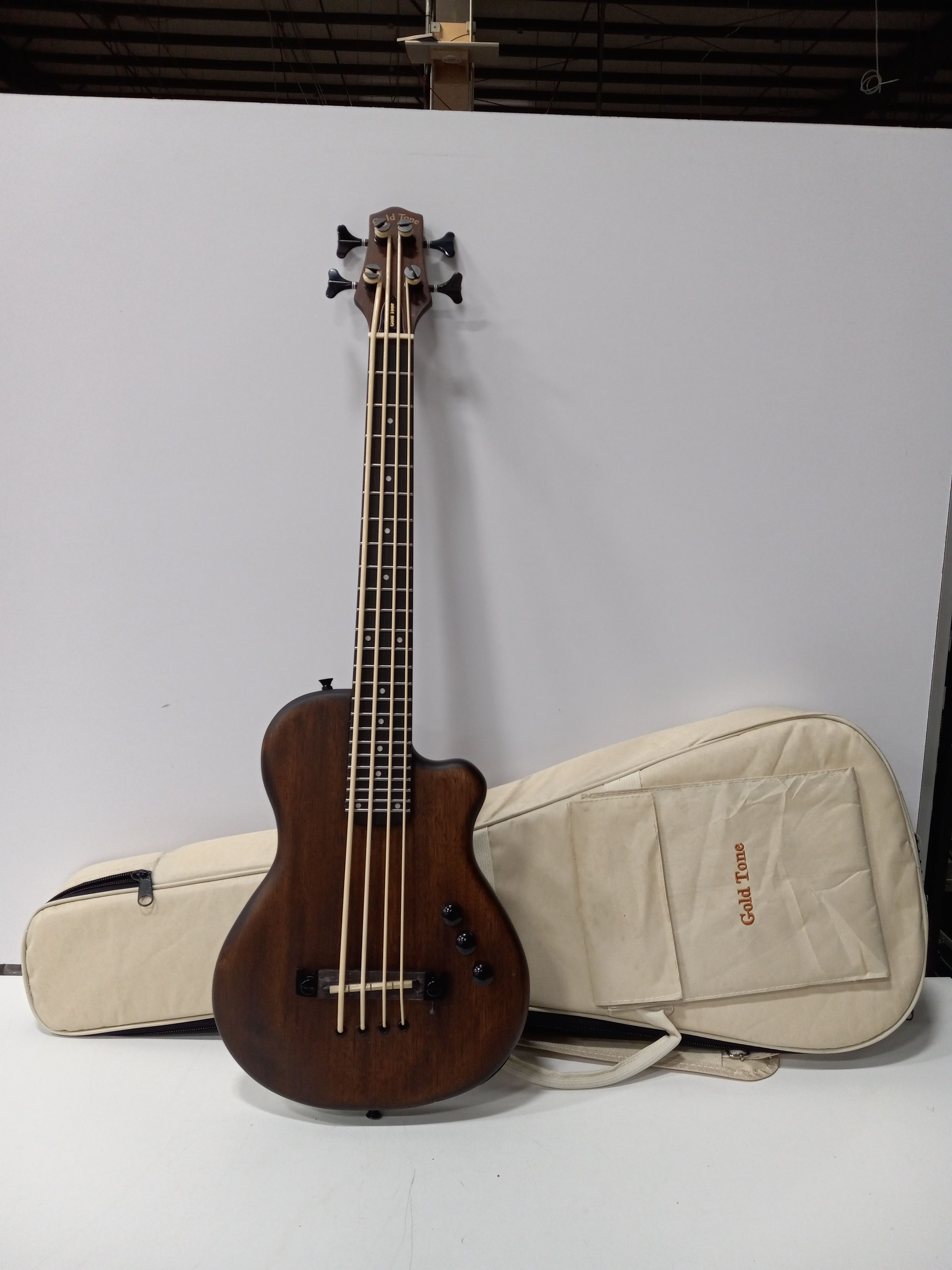 Gold tone deals fretless microbass