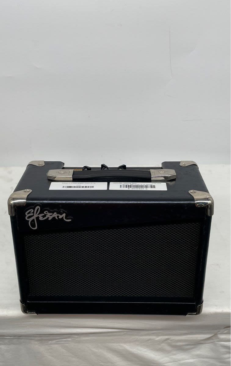 Esteban g 10 clearance electric guitar amp